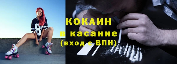 гидра Липки