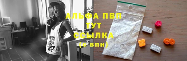 гидра Липки